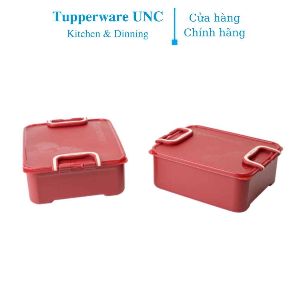 Bộ hộp Bảo Quản Thực Phẩm Ngâm Tupperware (2) - Màu Đỏ