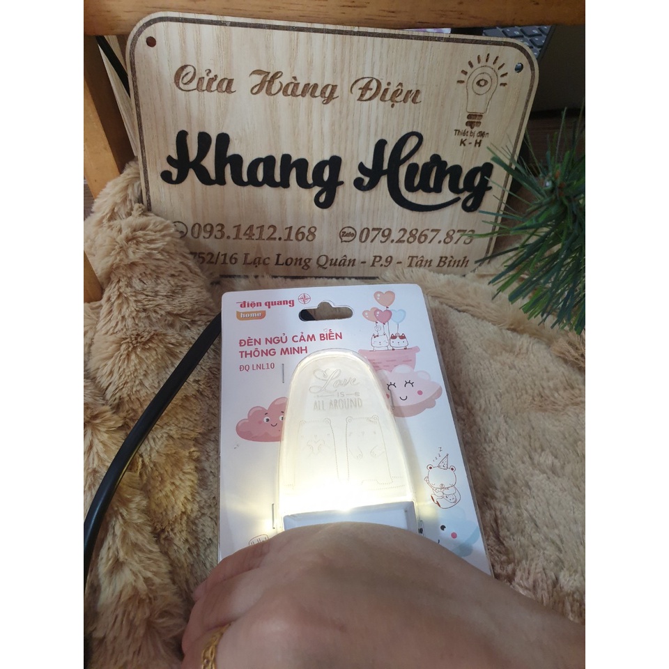 Đèn ngủ LED cảm biến ánh sáng Điện Quang ĐQ LNL10