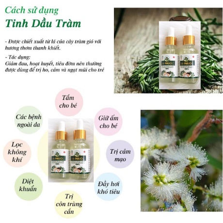 Dầu tràm An Phước ngừa cảm cúm ho sổ mũi giãm muổi đốt côn trùng cắn Hàng Chính Hãng