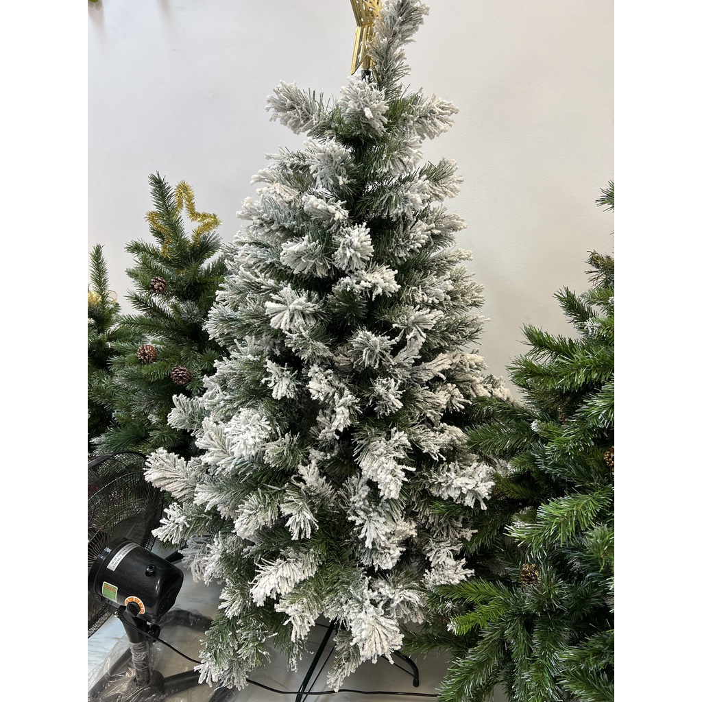 CÂY THÔNG PHỦ TUYẾT,CÂY THÔNG XANH HÀNG VIỆT NAM LOẠI 1