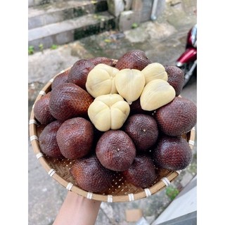 Mây Indo ( mây Bali da rắn )
