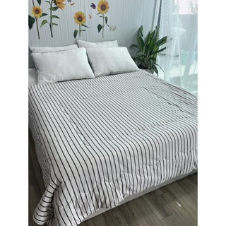 Chăn,Mền Cotton 100% chần bông mỏng Hàng nhật xuất dư Màu sắc đẹp