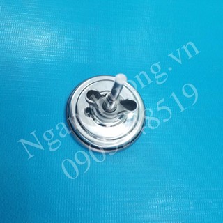 Nhiệt kế lò nướng