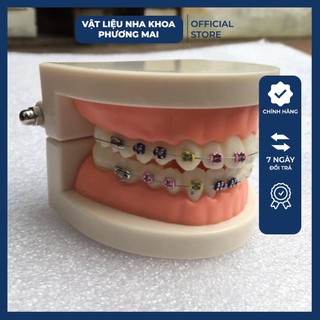 Mẫu hàm tư vấn nha khoa - Mẫu hàm tư vấn gắn mắc cài 2in1