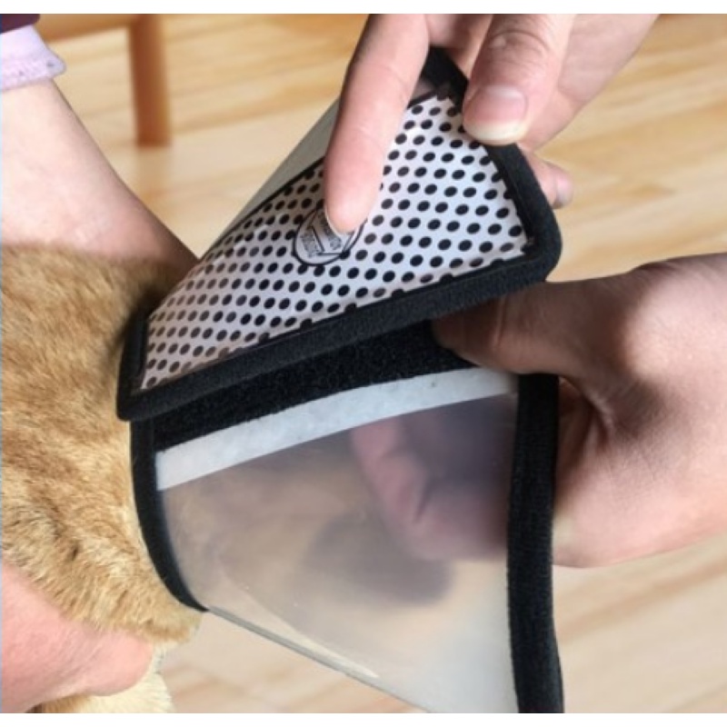 (BÁN SỈ) VÒNG CỔ CHỐNG LIẾM, LOA CHỐNG LIẾM CHO CHÓ MÈO - LOVE PETS SHOP