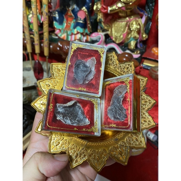 Nhao mèo Vietnam may mắn, tài lộc