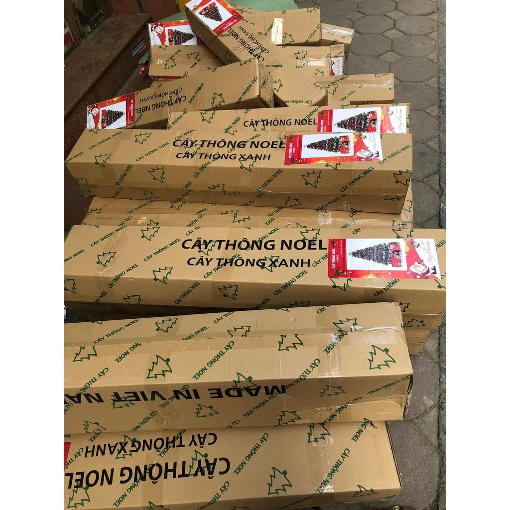 CÂY THÔNG PHỦ TUYẾT,CÂY THÔNG XANH HÀNG VIỆT NAM LOẠI 1