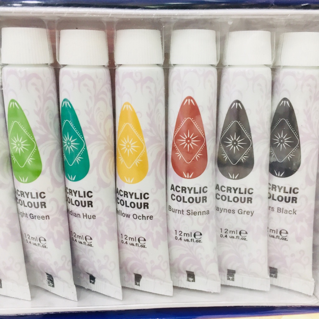 Set bột màu vẽ trang trí móng tay, bột màu vẽ cọ bản ECORFIN 12 màu