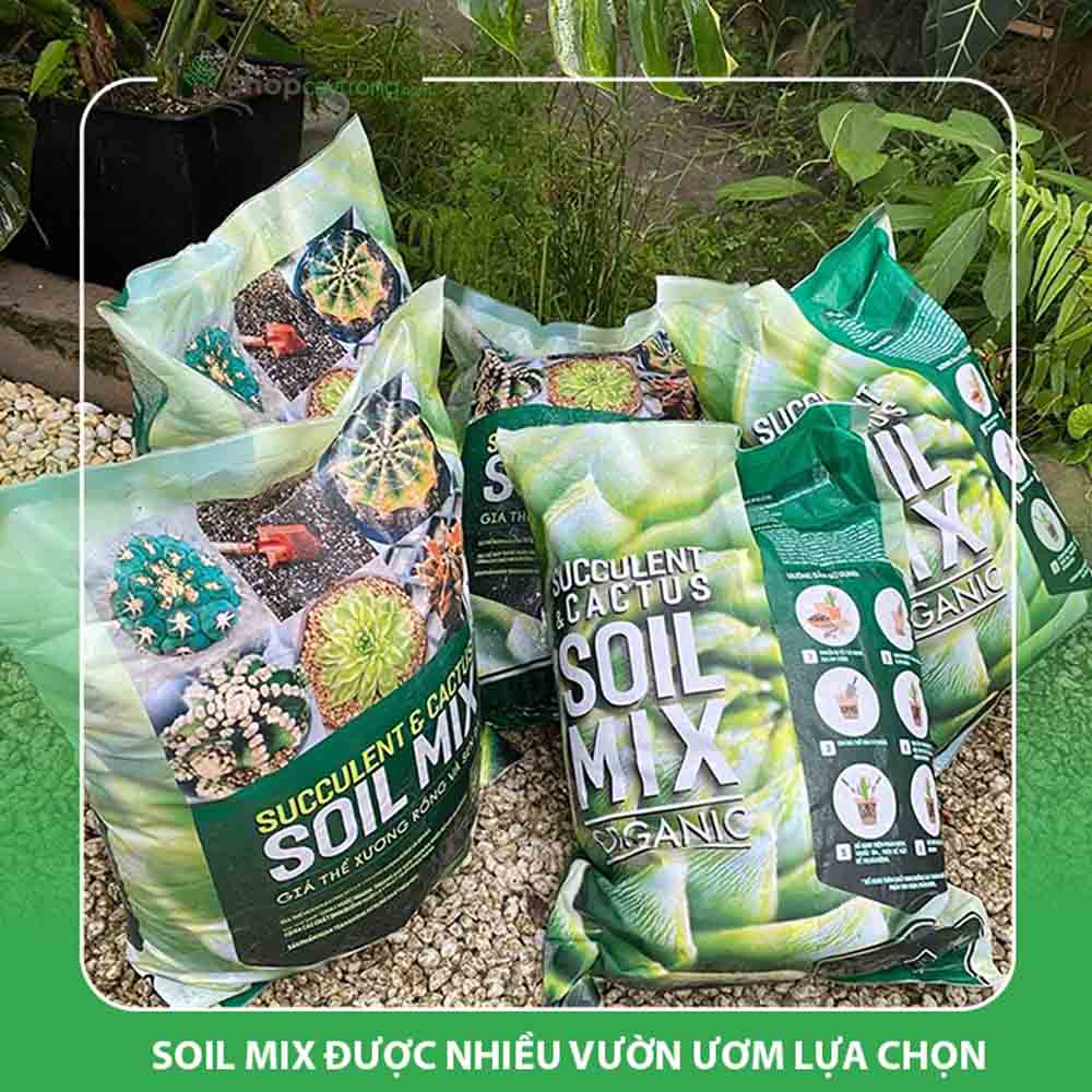 ☘️Giá Thể Trộn Sẵn SOIL MIX Dành SEN ĐÁ - XƯƠNG RỒNG Túi 1KG - 2KG