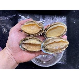 Bào ngư Hàn Quốc size 18-20con/kg
