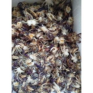 (HCM - CHỈ GIAO HỎA TỐC) Cua đồng xay 500gr
