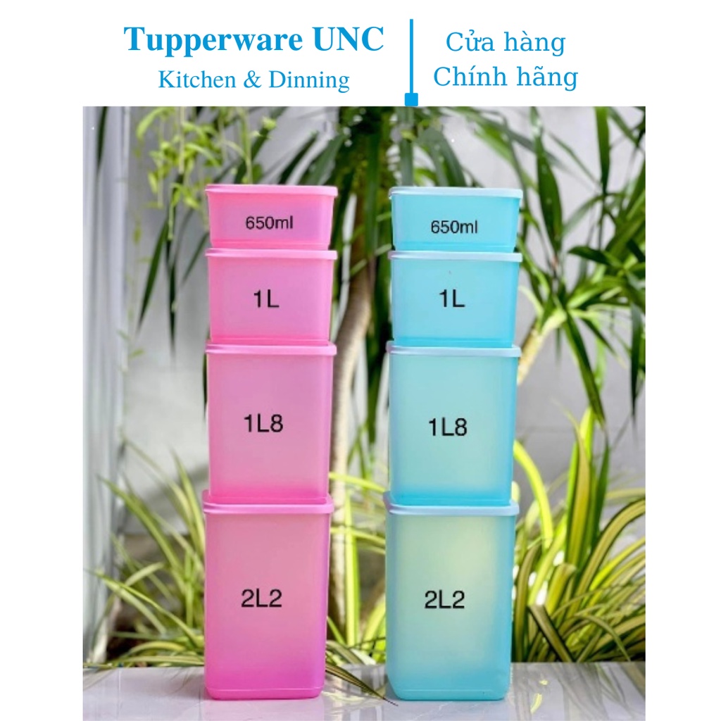 Bộ hộp Bảo Quản Thực Phẩm Tupperware Pop Fiesta (8)