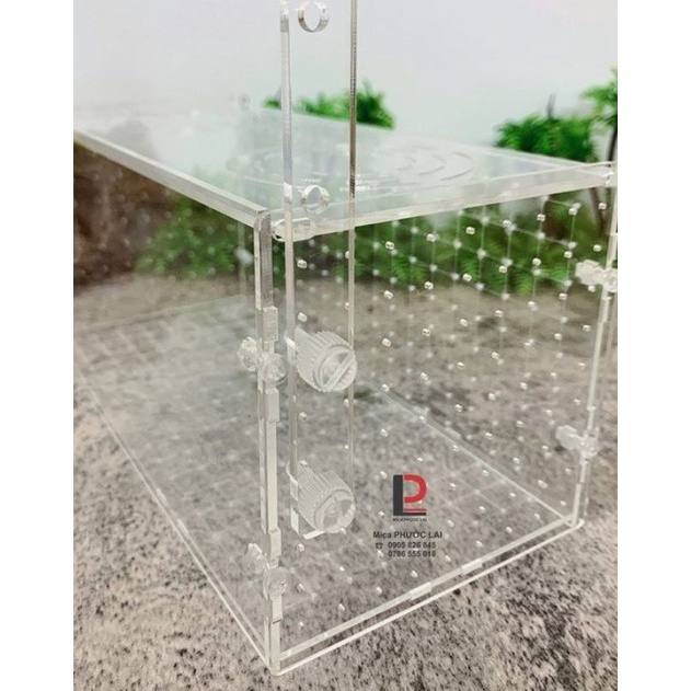 Box dưỡng tép - cá acrylic kẻ vạch cao cấp