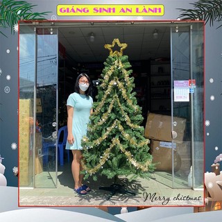 Cây thông noel 2m trang trí phòng khách, phòng ngủ, ngoài trời mùa giáng sinh tặng kèm ngôi sao đỉnh hàng VN chất lượng