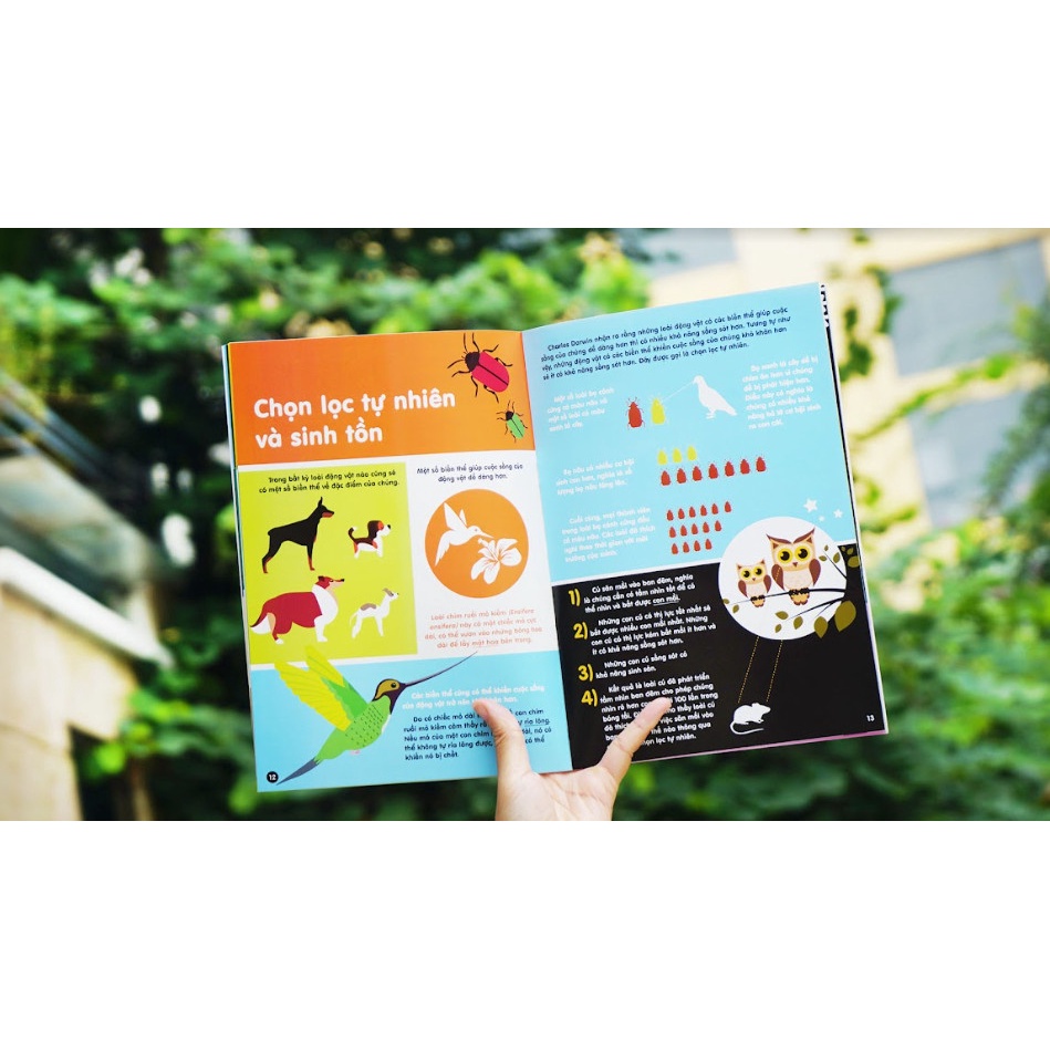 Sách Infographics - Bách Khoa Tri Thức Bằng Đồ Họa Cho Trẻ Em 6-12 Tuổi