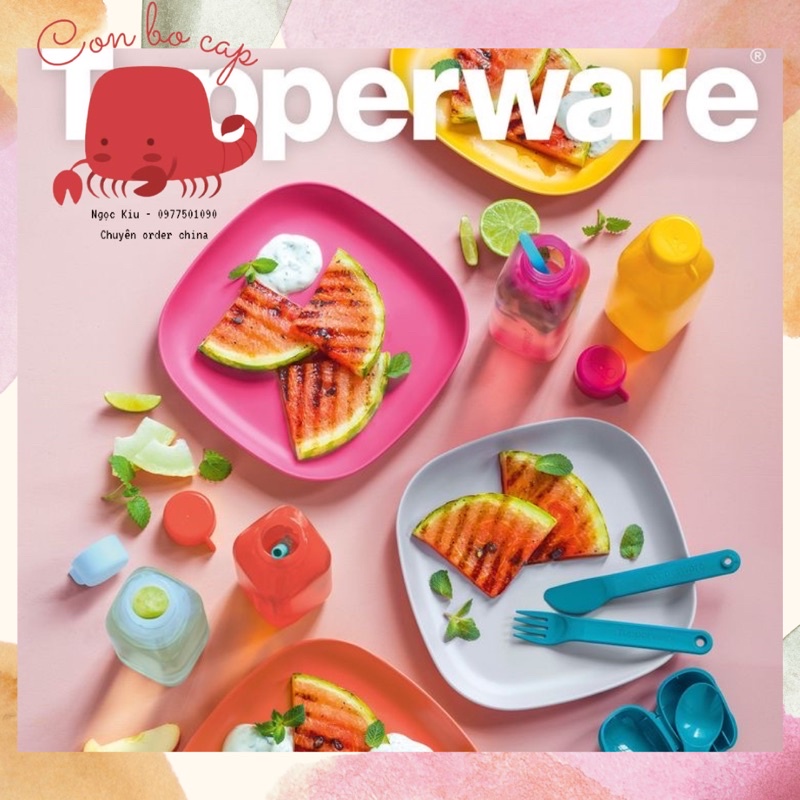 Set 4 Đĩa Chịu Nhiệt Đựng Thực Phẩm Trái Cây Bánh Kẹo Tuppeware - Dùng Được Trong Lò Vi Sóng