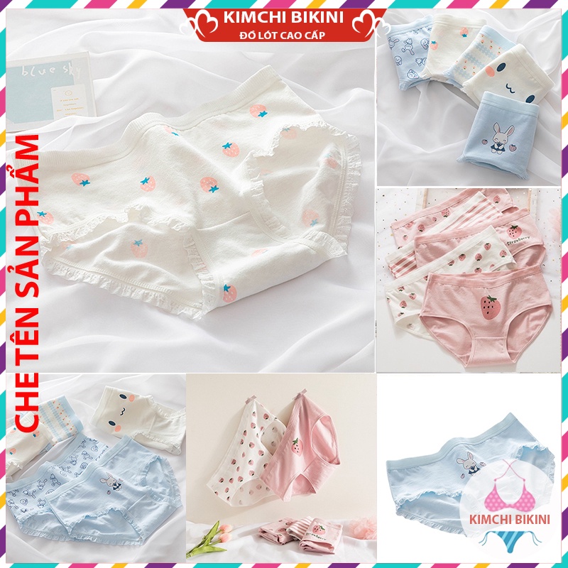Quần Nót Cotton Nữ Hoạ Tiết Dễ Thương Cute BST Thu Đông KIMCHIBIKINI quần nhỏ cạp thấp mẫu mã đa dạng với nhiều màu sắc