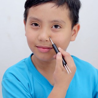 Cây sao chổi Diện Chẩn