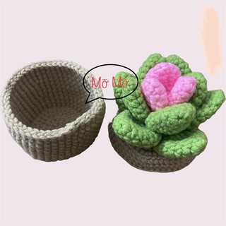 Chậu sen đá len handmade