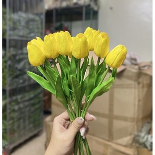 Hoa tuylip , hoa lụa decor