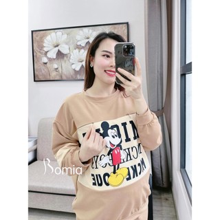 Bộ bầu nỉ hình Mickey