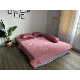 Bộ chăn ga gối thun trơn 5 món