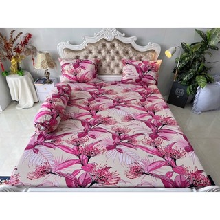 Bộ 4 drap/ga áo gối THUN LẠNH HÀN QUỐC