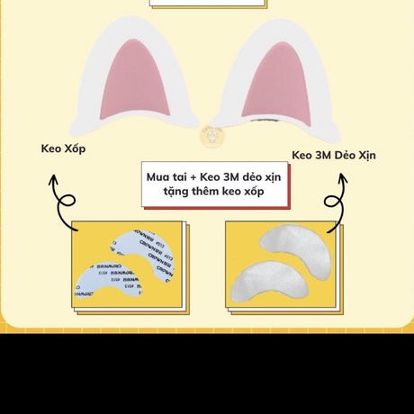 Tai mèo gắn nón bảo hiểm