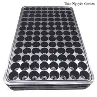 5 Vỉ ươm cây con, Khay ươm hạt giống 104 lỗ | Thảo Nguyên Garden