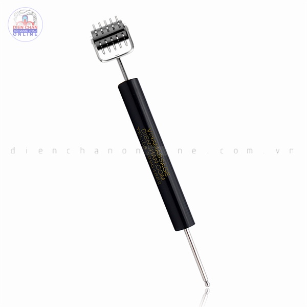 Dò đinh Diện Chẩn Bùi Quốc Châu