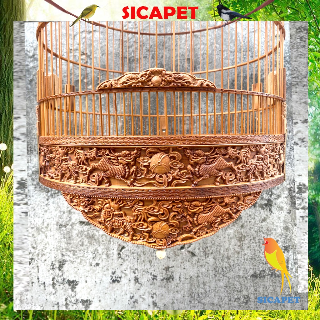 Lồng Chòe Than trạm lân nghê, Lồng chim Chòe Than - chim Chòe Lửa - chim Chào Mào ( white-rumped shama cage) SICAPET