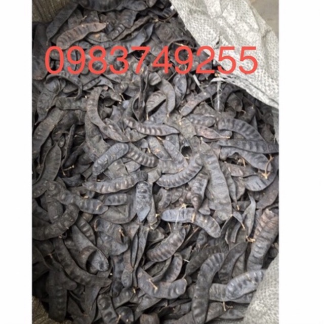 Bồ kết khô 1kg ( quả đẹp)