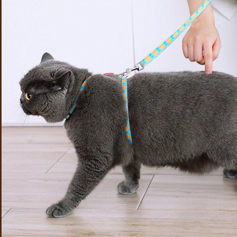 HamshMoc Bộ Dây Dắt Và Dắt Thú Cưng Đi Dạo Bằng Polyester Mềm Mại Họa Tiết Hoa Hamsa Có Thể Điều Chỉnh