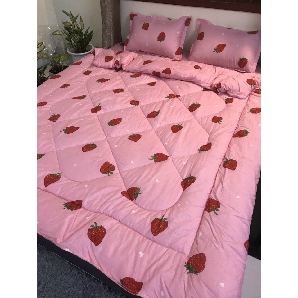 (Giá rẻ) Chăn phao Gấu kẻ vuông trần bông dày loại 1 bông hơi siêu nhẹ m8-2m cao cấp giữ nhiệt tốt may liền vỏ kèm ruột