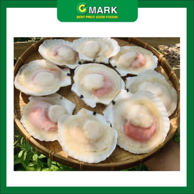 Giá sỉ 1kg Sò điệp Nhật nửa mảnh