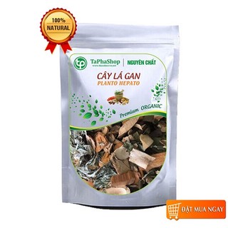- Cây lá gan sấy khô , Trà cây lá gan, Cải thiện tình trạng viêm gan, Xơ gan, Hạ men gan