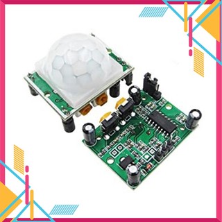 Module cảm biến hồng ngoại phát hiện chuyển động HC-SR501