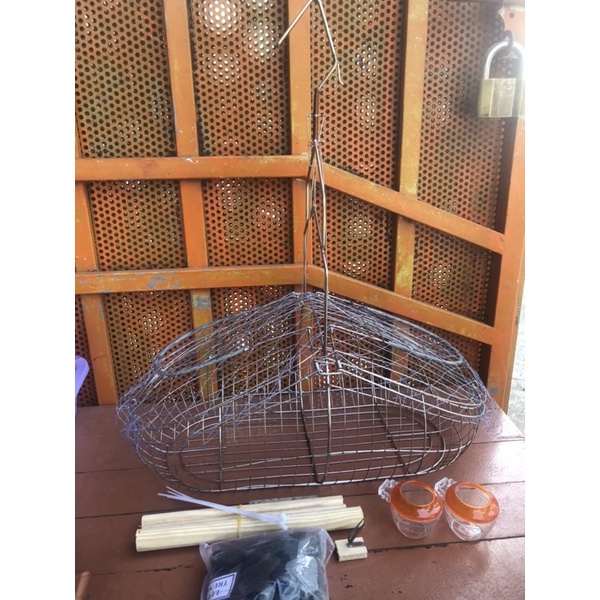 Lụp inox bẫy Choè than, Chào mào,…