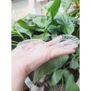 ( có video) Đĩa thủy tinh loại đựng được đồ ăn thật cho nấu ăn dollhouse , miniature