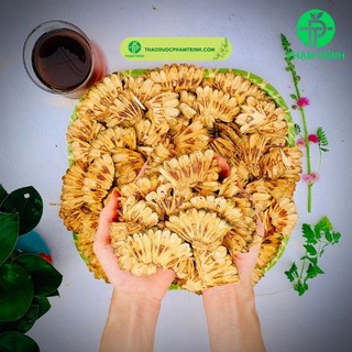 Dứa rừng - loại chuẩn 100% loại mọc trên núi không phải loại mọc ở biển