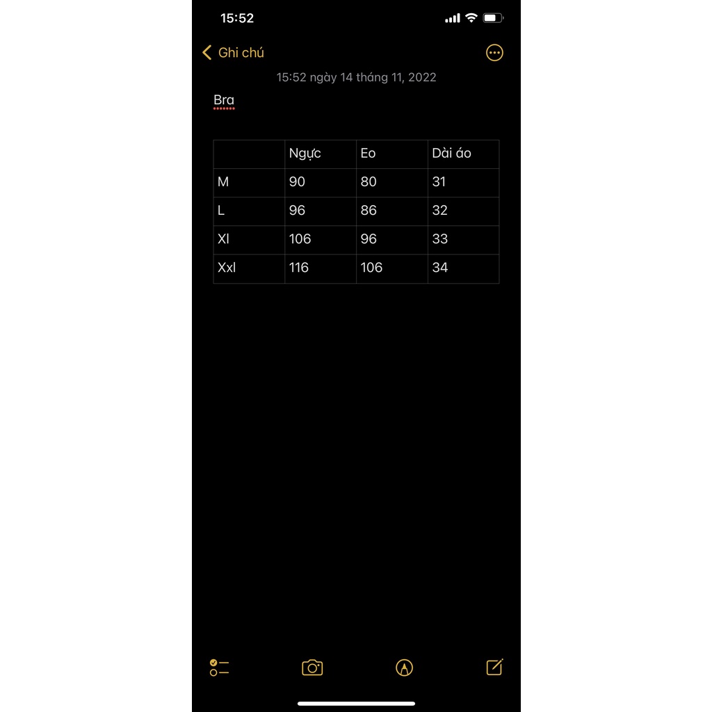 Áo bra ren dây bigsize Kim Ngân từ 50kg đến 100kg