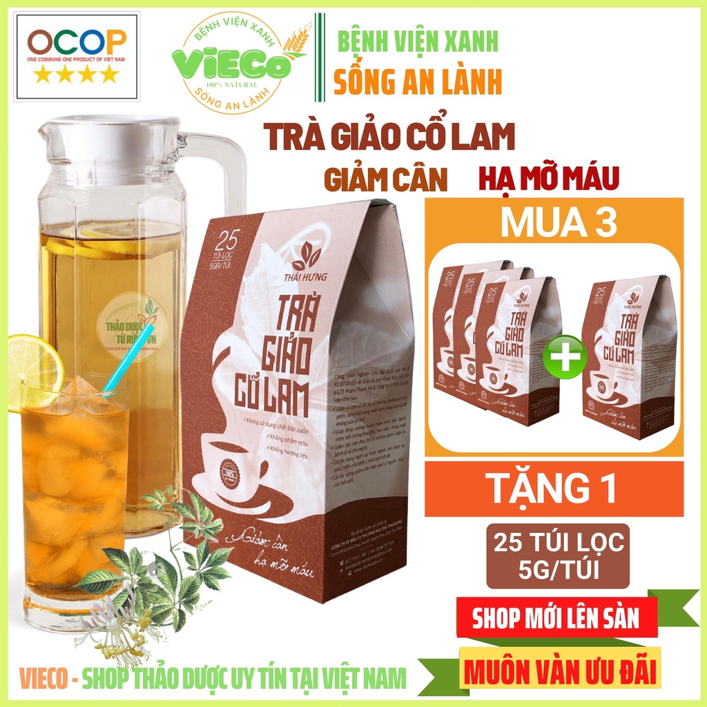 Giảo Cổ Lam THÁI HƯNG Giảm Cân Thảo Mộc - Trà Giảm Cân Hiệu Quả An Toàn 25 Gói Trà Túi Lọc 125G ViECo