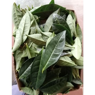 Lá Trà xanh (Chè tươi) 1kg