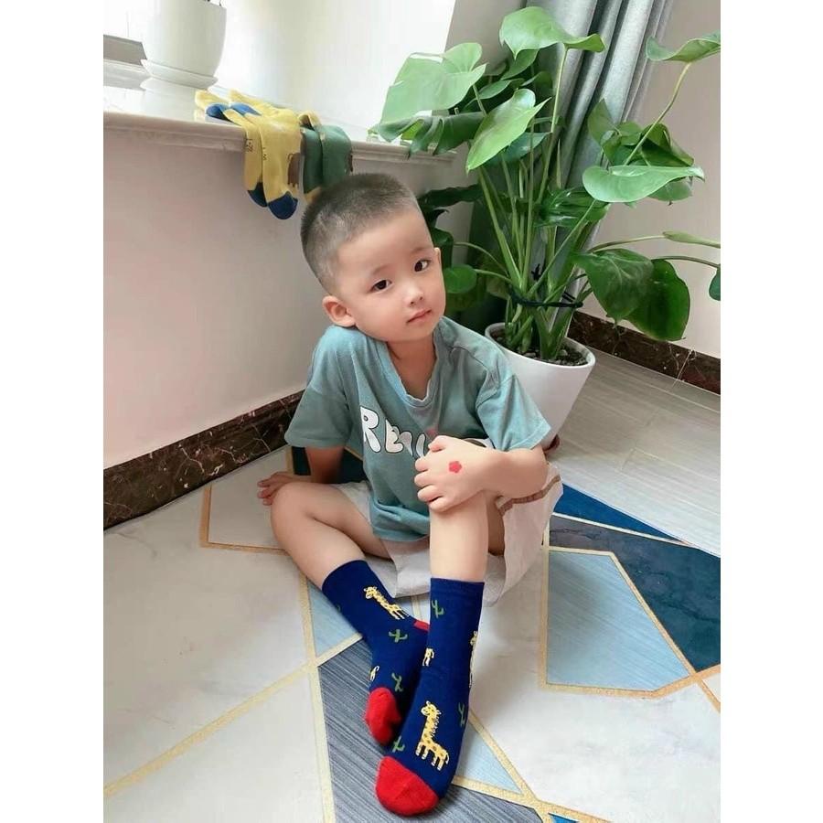 PVN54837 Set 10 đôi tất hình con vật ngộ nghĩnh cao cổ cho bé chất đẹp