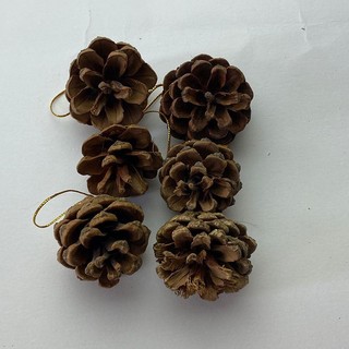 Phụ kiện trang trí cây thông noel