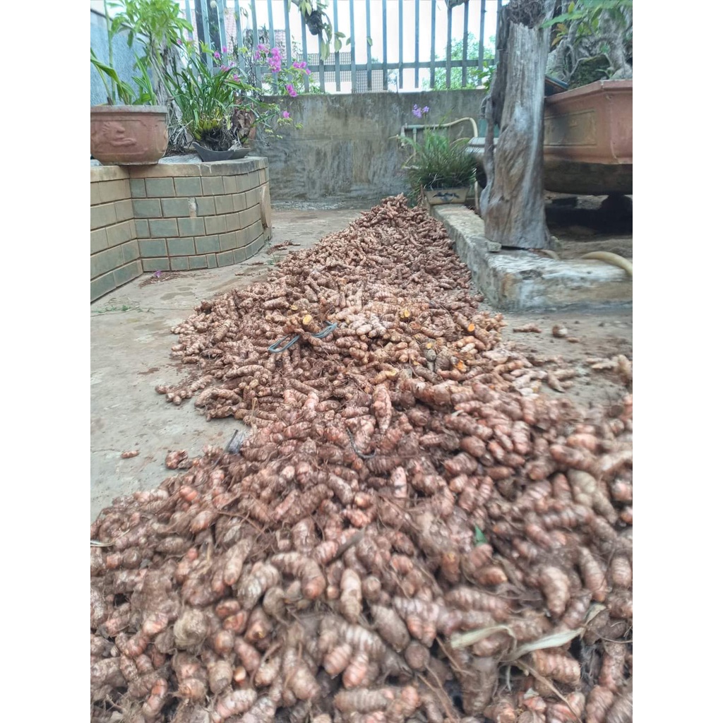 100g tinh bột nghệ nguyên chất Dakfoodfamily