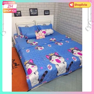 Chăn hè 1 ga chun 2 vỏ gối nằm 1 vỏ gối ôm poly 1m8