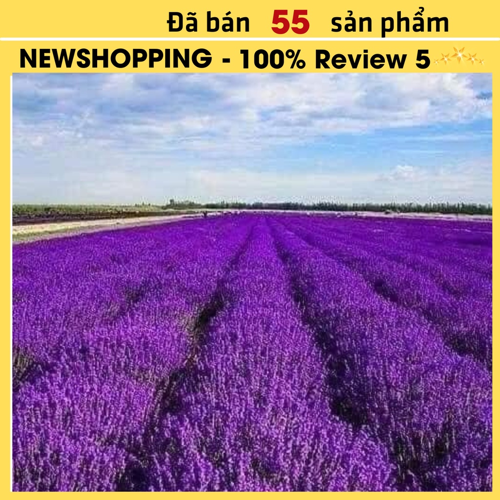 Túi Thơm Lavender  Pháp mẫu độc quyền Treo xe tô, khử mùi tủ,mùi giày, mua gói ruột thay thế tiết kiệm hơn