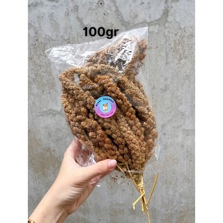 Kê chùm cho hamster [30gr / 50gr /100gr]