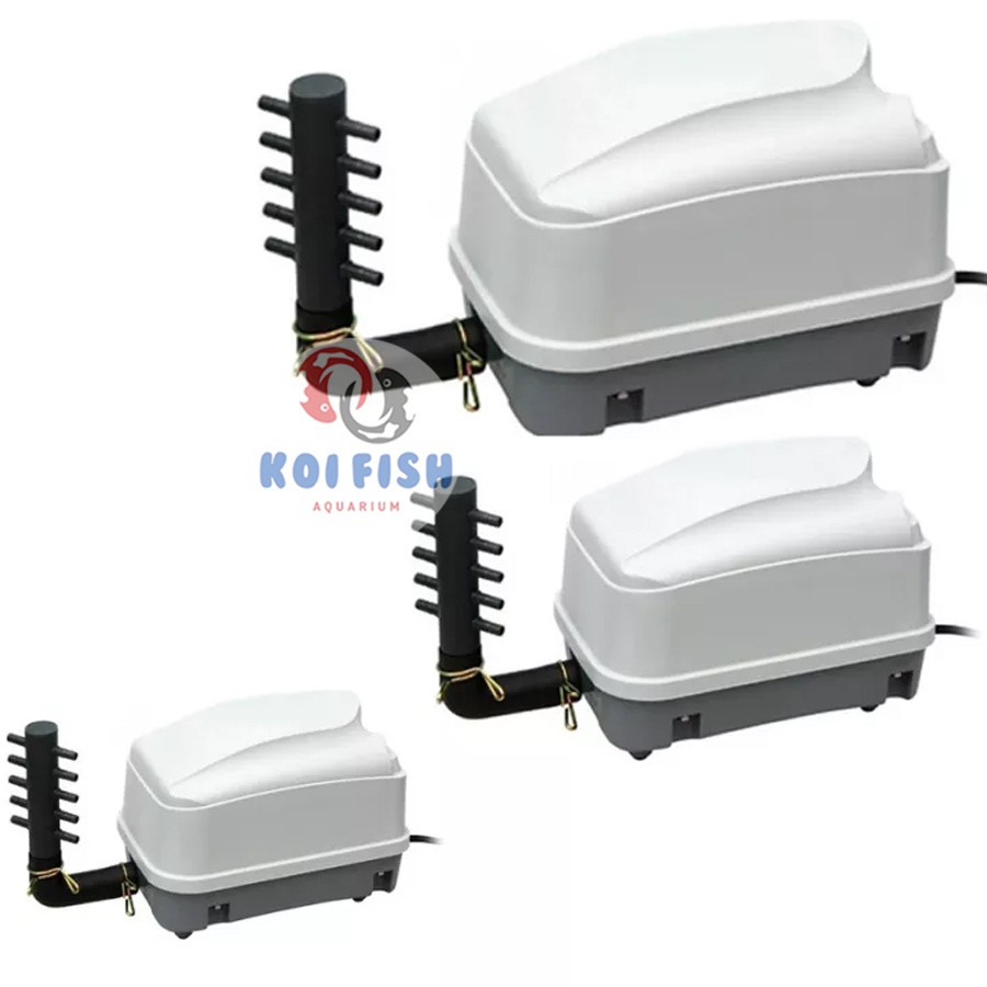 Máy sủi oxy cho hồ cá Koi Atman HP 4000 - 16000